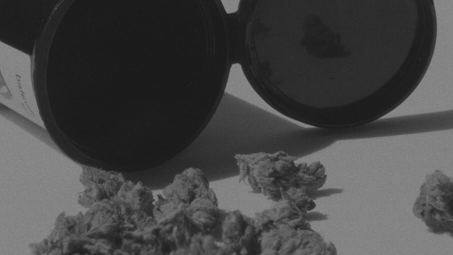 Cannabis flower, concentrate, and a vape cartridge arranged on a dark surface